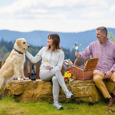 Wellness Aparthotel Martinak Horní Bečva Buitenkant foto