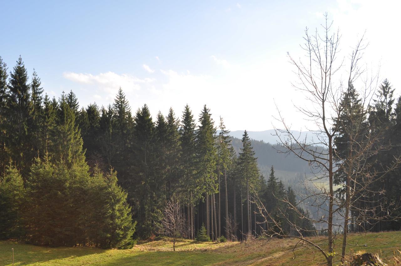 Wellness Aparthotel Martinak Horní Bečva Buitenkant foto